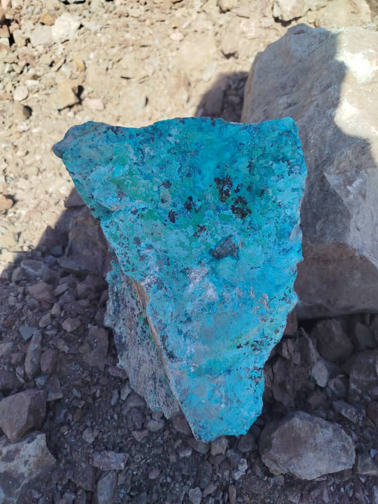 WhatsApp Image 2024-11-17 at 11.16.17